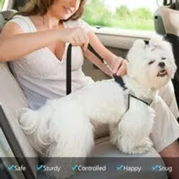 blessing pet supply Dog car seat Belts (Dog SEAT Belts, Black) image 4