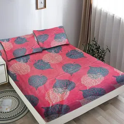 Steve & Anderson Blue & Pink 160 TC Microfiber Queen Bedsheet Set 2.20 m x 2.20 m-picture-27