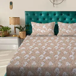 KLOTTHE Beige Printed Pure Cotton 400 TC Fitted Double King Bedsheet With 2 Pillow Covers-picture-39