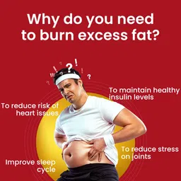 Dr. Morepen 100% Natural Fat Loss Solution Fat Burner Tablets  - 60 Tablets image 2