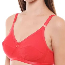 Bodycare Pack of 3 Solid Non-Wired Non Padded Everyday Bra E1517 image 2