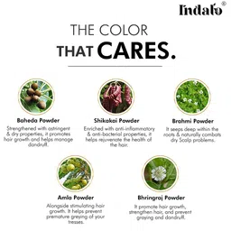 INDALO Set of 2 Ammonia Free Natural Hair Colour with Amla & Brahmi 100g Each - Rose Brown image 2