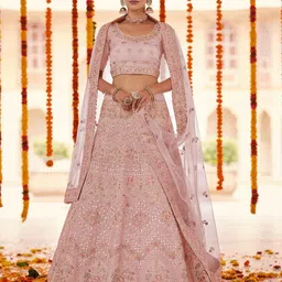 Fusionic Embroidered V-Neck Organza Semi Stitched Lehenga & Unstitched Blouse With Dupatta image 1