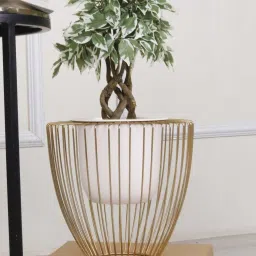 casacraft from pepperfry Gloria Riga White Metal Planter - Small (White) image 1