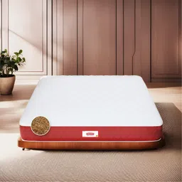 COIRFIT White & Maroon Quilted Cotton Orthopedic King Size Mattress-picture-35