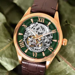 Franklord Men Brass Dial & Leather Straps Analogue Automatic Watch F-106 GNG21 A image 1