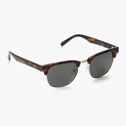 INVU Unisex Browline Sunglasses-picture-24