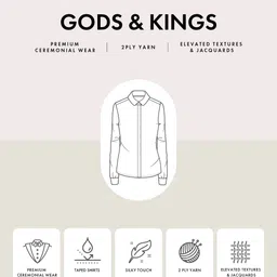 Louis Philippe Self Design Textured Classic Fit Pure Cotton Formal Shirt image 2