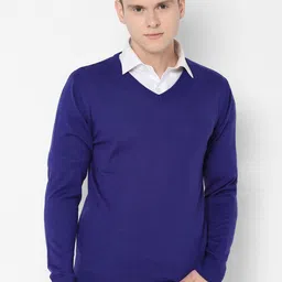 Allen Solly Men Navy Blue Solid Sweater-image-87