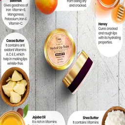 TNW the natural wash Set of Cucumber Toner - 100ml & Herbal Beetroot Lip Balm - 5g image 3