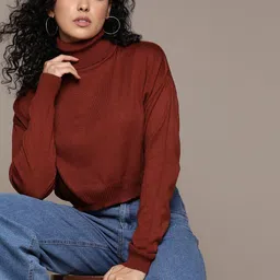 The Roadster Lifestyle Co. Turtle Neck Acrylic Pullover image 1