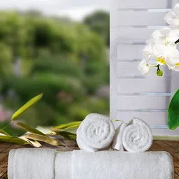BIANCA Set Of 3 White Solid 500 GSM Pure Cotton Zero-Twist Ultra-Fluffy Towels-picture-22