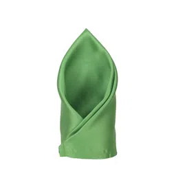 Peter England Men Green Solid Pocket Square-image-93