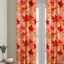 Cortina Floral Printed Single Long Door Curtain-picture-21