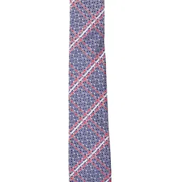 Alvaro Castagnino Men Blue & Red Striped Broad Tie-image-86