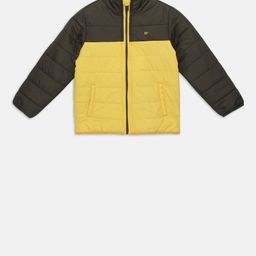 t-base Boys Yellow Colourblocked Lightweight Jacket-picture-24