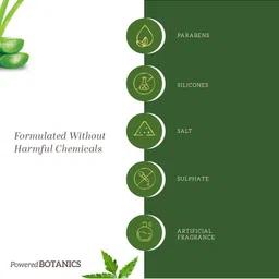 Khadi Natural Power Botanics Neem & Aloe Vera Hair Shampoo To Stimulate Hair Growth- 310ml image 4