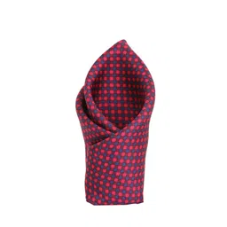 Alvaro Castagnino Red & Blue Checked Silk Pocket Square-picture-39
