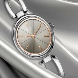 Titan Raga Viva Women Metallic Analogue watch NL2579QM01-image-94