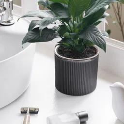 Claymistry Black 2 Pieces Textured Ceramic Flower Planter-picture-15