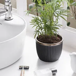 Claymistry 2 Pieces Black & Beige Textured Ceramic Cylinder Planters-image-55