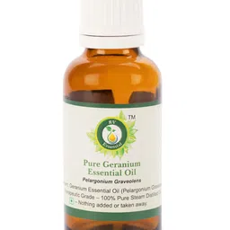 R V Essential Pure Geranium Essential Oil For Moisturization & Nourishment- 15 ml-picture-31