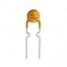RXEF017 60V 170mA Tyco Raychem PPTC Resettable Fuse-picture-32