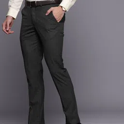 Louis Philippe Men Slim Fit Textured Checked Formal Trousers image 3