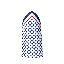 Alvaro Castagnino White & Blue Printed Pocket Square image 4