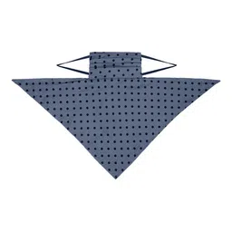 Anekaant Women Blue Printed 3-Ply Reusable Scarf Style Fashion Mask image 5