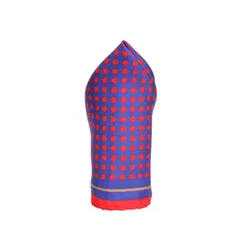 Alvaro Castagnino Blue & Red Printed Silk Pocket Square image 4