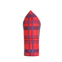 Alvaro Castagnino Red & Blue Checked Silk Pocket Square image 2
