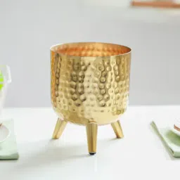 Crimson Anthurium image 3