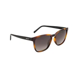 OPIUM Men Brown Lens & Brown Wayfarer Sunglasses Polarised & UV Protected Lens OP-1906-C02-picture-27