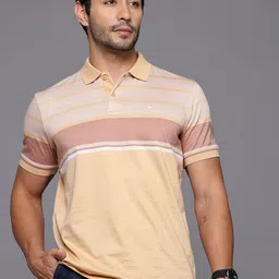 Louis Philippe Men Striped Polo Collar Pure Cotton T-shirt image 2