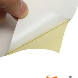 999Store Gold-Toned & White Beautiful Ducks Mural Wallpaper image 4