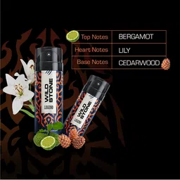 Wild Stone Men Pack of 2 Legend Deodorant 450 ml image 5