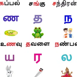 rawpockets White And Green Tamil Alphabets Printed Uyir Mei Eluthukal Wall Stickers image 4
