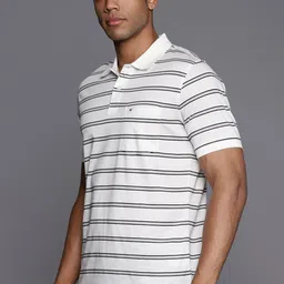 Louis Philippe Striped Pure Cotton Polo Collar T-shirt image 2