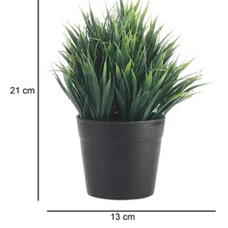 FOLIYAJ Green & White Artificial Plant With Leaves & Black Pot image 2