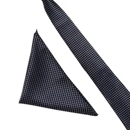 Alvaro Castagnino Men Grey Self-Design Tie & Pocket Square Gift Set image 4