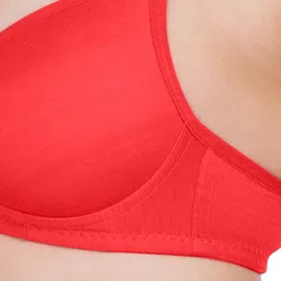 KOMLI Set Of 2 Solid Non-Wired Heavily Padded T-shirt Bra K9555-2PC-RD image 3