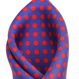 Alvaro Castagnino Blue & Red Printed Silk Pocket Square image 2