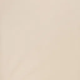 Ethnovog Ready to Wear Lehenga & Sequinned Blouse With Dupatta image 5