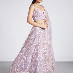 panchhi Embroidered Sequinned Net Semi-Stitched Lehenga & Unstitched Blouse With Dupatta image 2