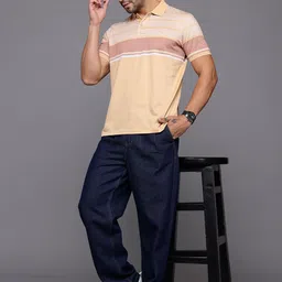 Louis Philippe Men Striped Polo Collar Pure Cotton T-shirt image 5