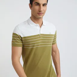 Park Avenue Men Colourblocked Polo Collar Slim Fit T-shirt-picture-12