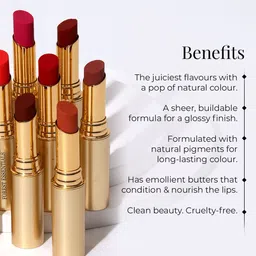 Forest Essentials Madhu Rasa Moisturizing Tinted Lip Serum Lipstick 2.2g - Anar Rasa image 3