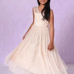 Biba Beige Embellished Formal Maxi Dress image 3