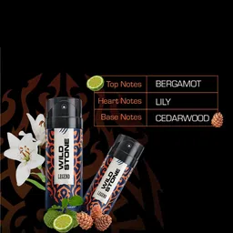 Wild Stone Men Pack of 2 Red and Legend Deodorant 450 ml image 4